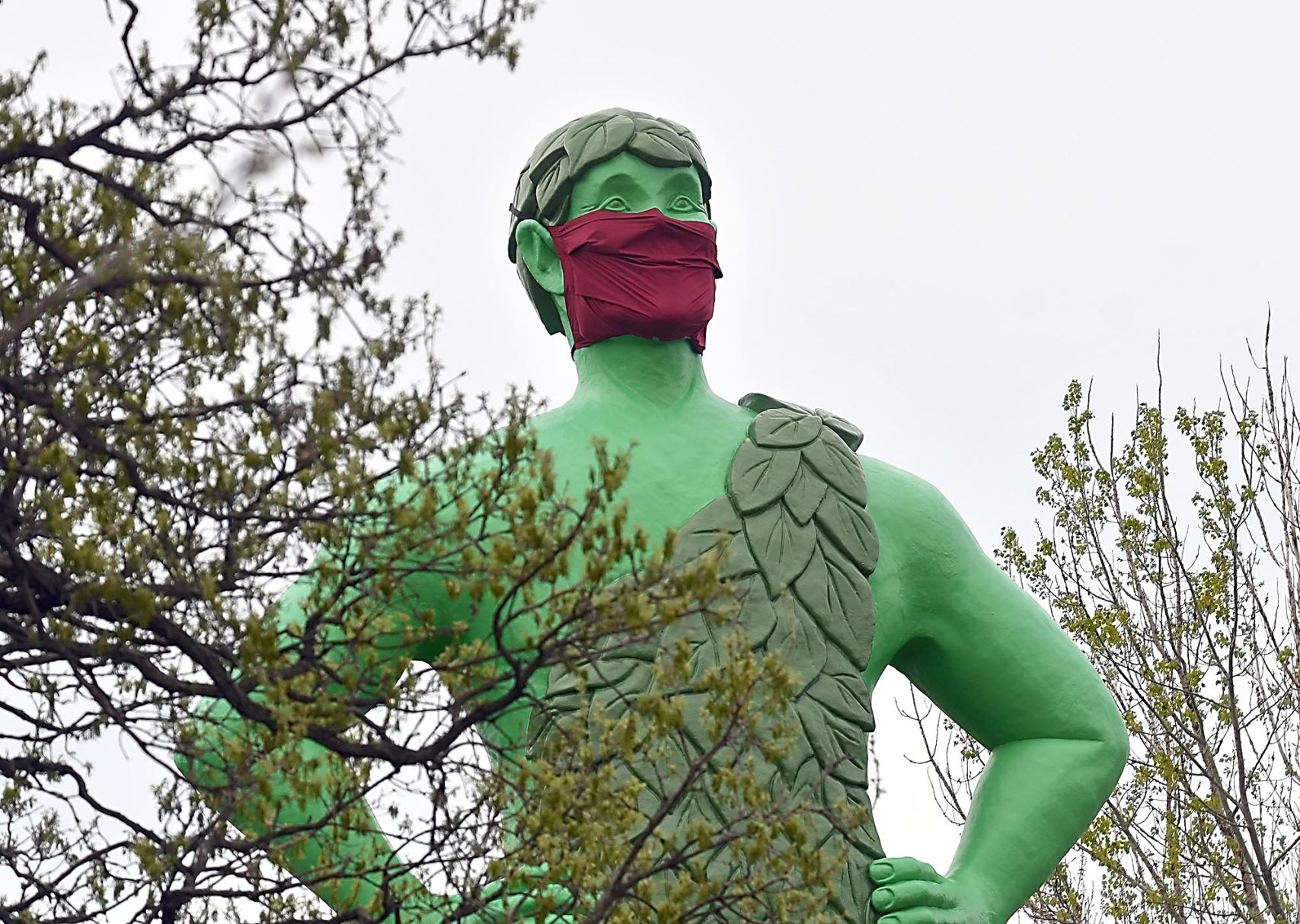 Masked Giant